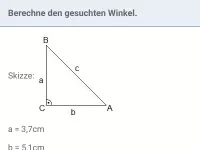 Trigonometrie am rechtwinkligen Dreieck