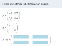 Stochastische Prozesse III - Matrizen-Multiplikation und Berechnungen mit dem GTR