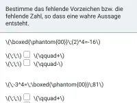 Potenzen mit negativer ganzzahliger Basis